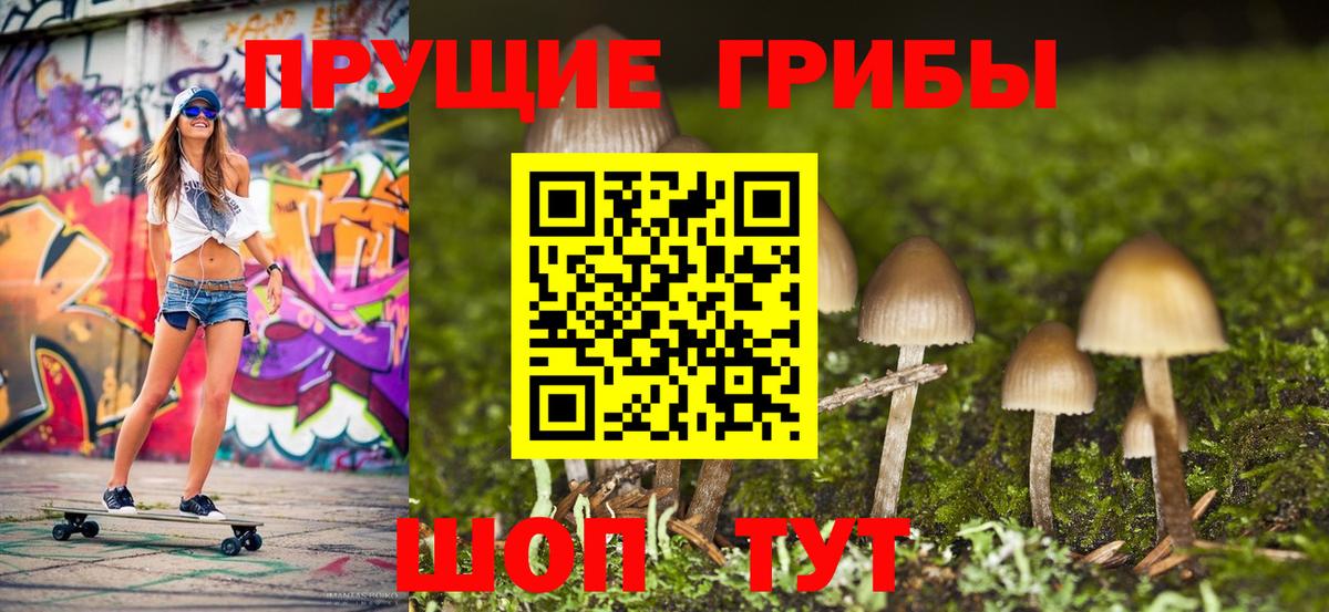 Чусовой  дарнет шоп  Вход с VPN  Галлюциногенные грибы MAGIC MUSHROOMS 