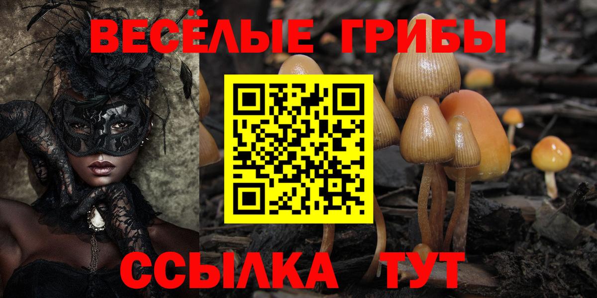 Псилоцибиновые грибы Psilocybine cubensis Чусовой